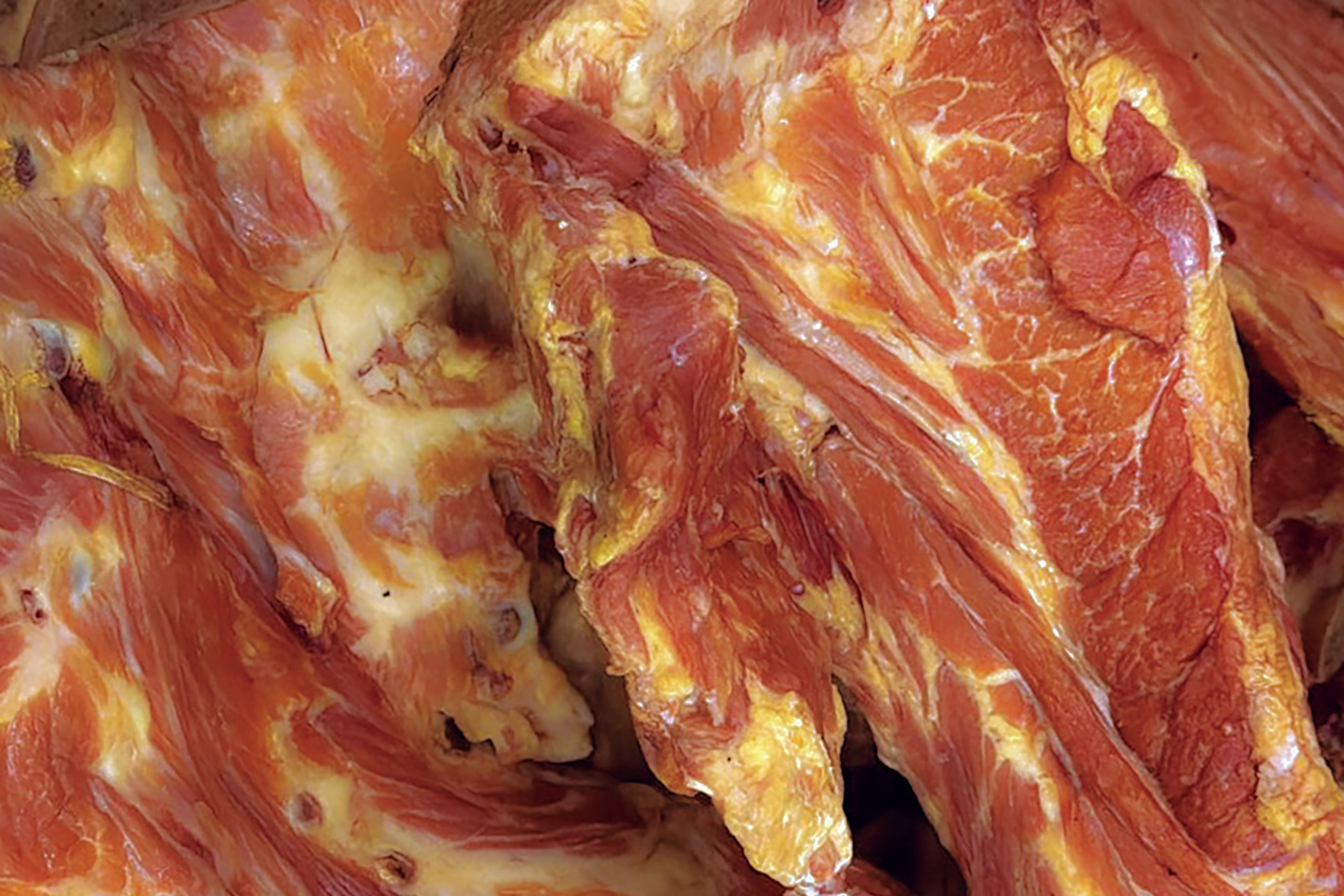 Salam cu sunca taranesc